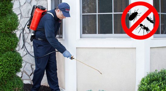 Bilecik Hamam Böceği İlaçlama böcek ilaçlama ve haşere kontrolü — ilaclama-tr.com